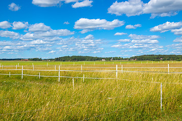 Image showing Scandinavian countryside in summer