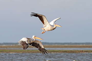 Image showing two pelicans flying over the sea