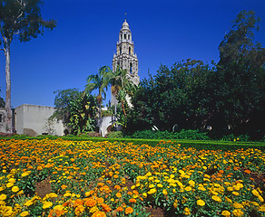 Image showing California Tower