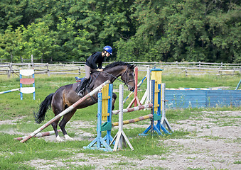 Image showing Boy and horse