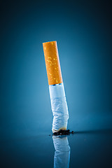 Image showing Cigarette butt - No smoking.