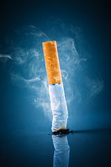 Image showing Cigarette butt - No smoking.