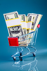 Image showing shopping cart and money