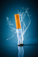 Image showing Cigarette butt - No smoking.