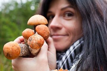 Image showing Mushrooms in hands