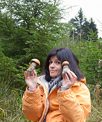 Image showing Mushrooms in hands