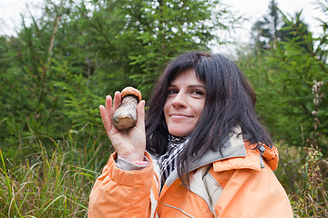 Image showing Mushroom in hand