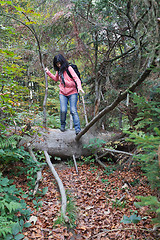 Image showing Young hiker in the forest