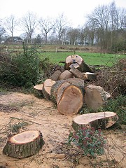 Image showing Wood sawing