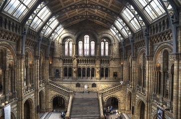 Image showing The Natural History Museum of London