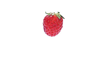 Image showing Strawberries isolated over white