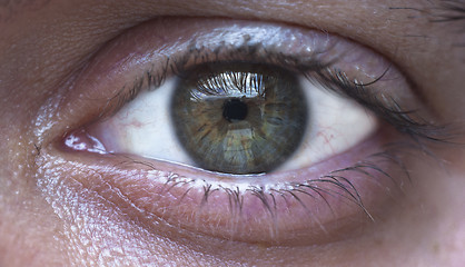 Image showing green eye of man