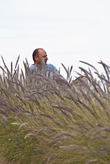 Image showing handsome man sitting in a field of wheat