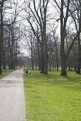 Image showing Hyde Park - Kensington Gardens in London