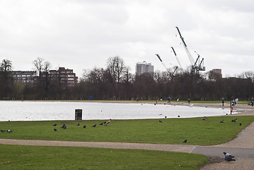 Image showing Hyde Park - Kensington Gardens in London