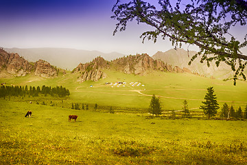 Image showing Yourt Camp in Terelj National Park