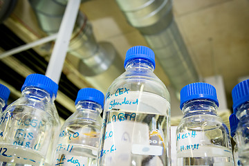 Image showing bottles in chemistry lab