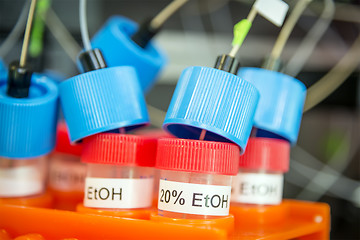 Image showing Tubes with ethanol