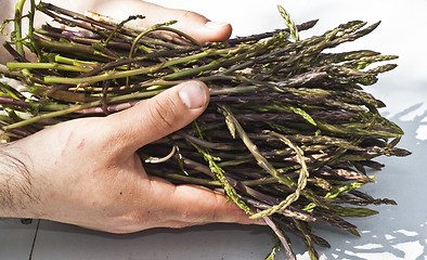 Image showing Fresh asparagus in his hands