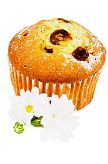 Image showing Raisins Muffin