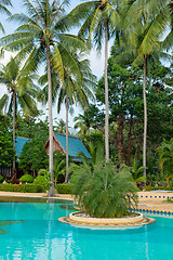 Image showing tropical swimming pool