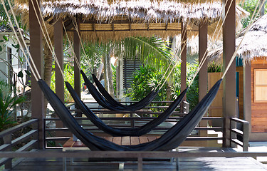 Image showing hammock