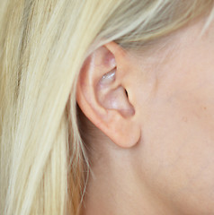 Image showing woman ear