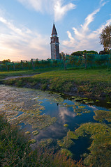 Image showing Venice Burano Mazorbo vineyard