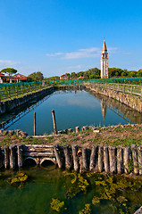 Image showing Venice Burano Mazorbo vineyard