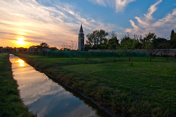 Image showing Venice Burano Mazorbo vineyard