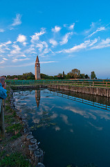 Image showing Venice Burano Mazorbo vineyard