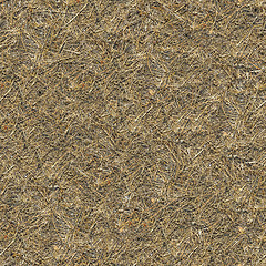Image showing Seamless Texture of  Withered Grass.