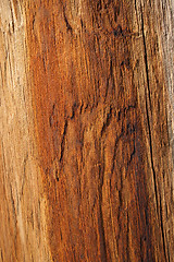 Image showing Wood texture of warm orange color