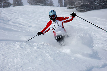 Image showing Skiing