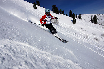 Image showing Skiing