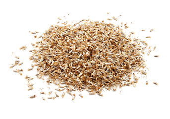 Image showing Cornflower seeds