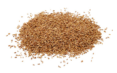Image showing Corn marigold seeds