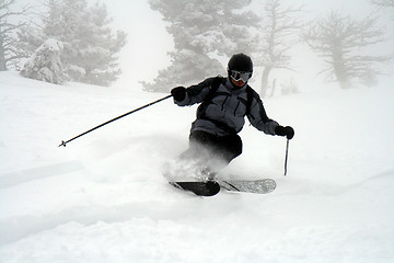 Image showing Skiing