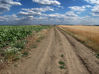 Image showing Footpath to the sky