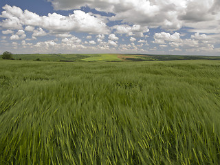 Image showing Green, blue and windy