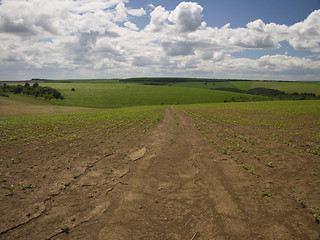 Image showing Green, blue and brown