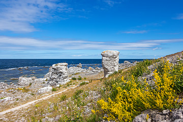 Image showing Nordic nature of Gotland, Sweden