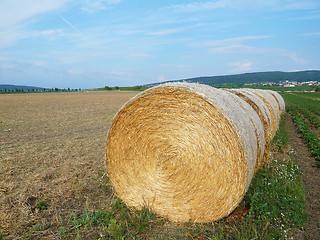 Image showing Straw Bales