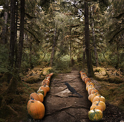 Image showing Spooky Trees And  Pumpkins 