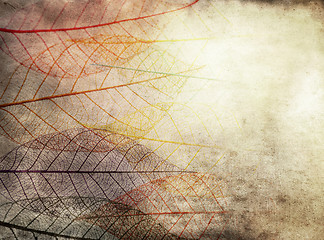 Image showing Grunge Background