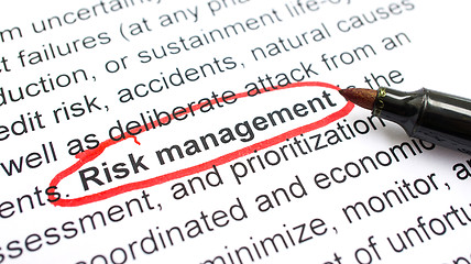 Image showing Risk Management