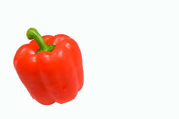 Image showing Isolated wet red pepper