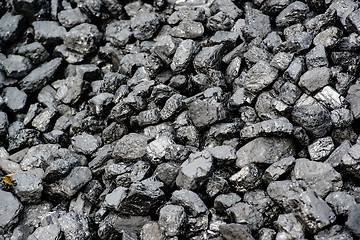 Image showing Pile Of Black Coal