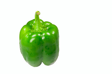 Image showing Isolated wet green pepper