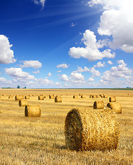 Image showing harvested bales of straw in field 